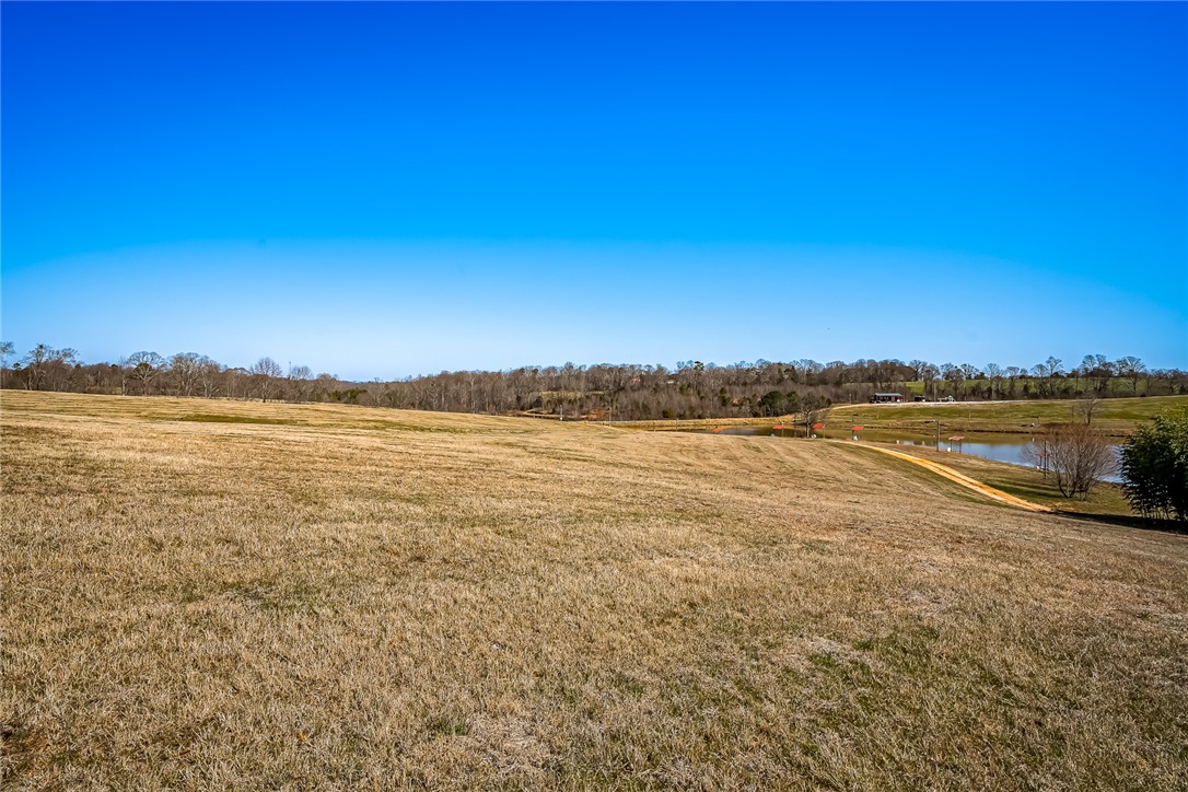 461 Williams Farm Road Westminster, SC 29693 - Photo 19 of 25 Gallery Image 19