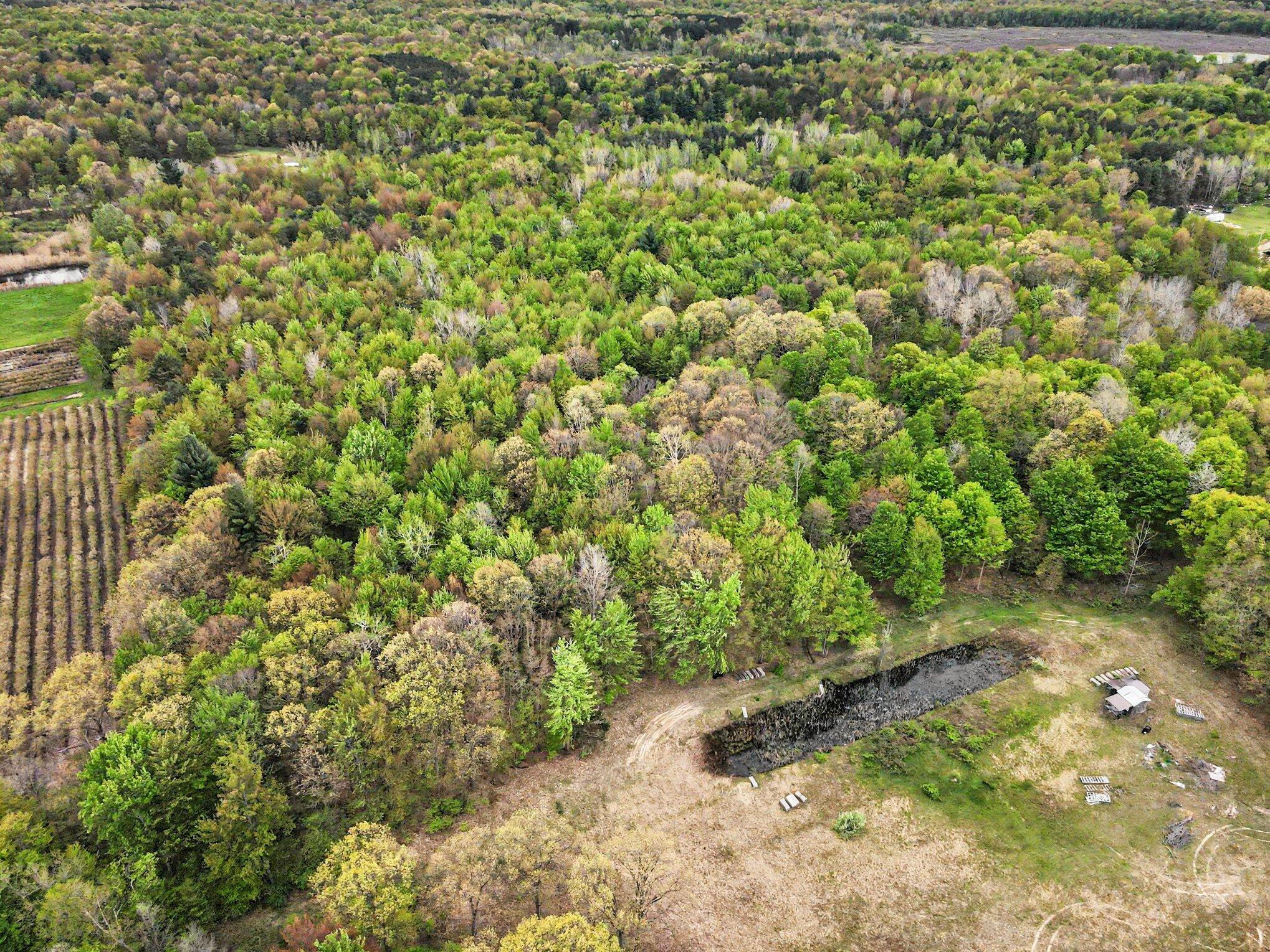 58th Street Grand Junction, MI 49056 - Photo 4 of 15 004_dji_0144_219