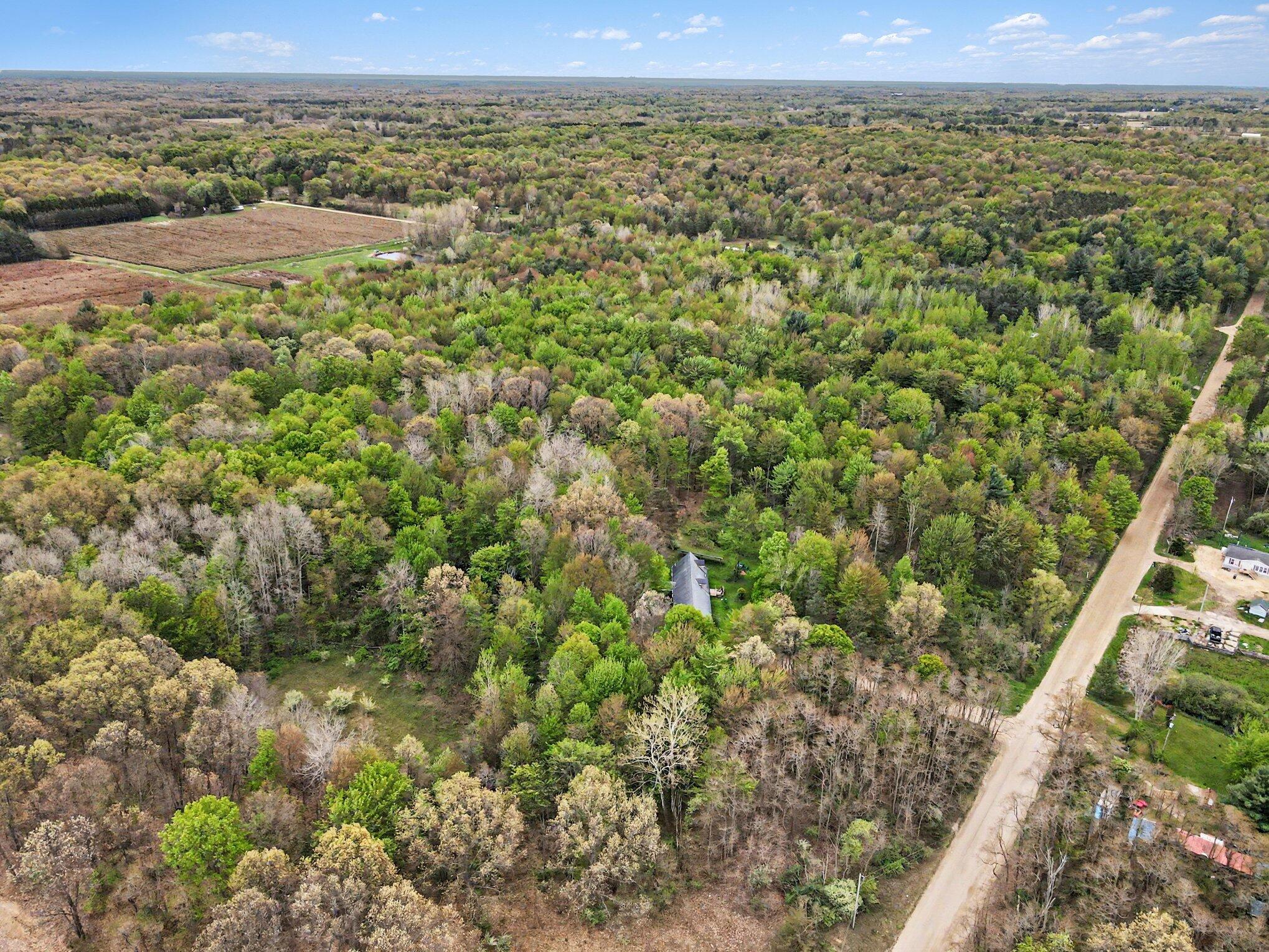 58th Street Grand Junction, MI 49056 - Photo 6 of 15 006_dji_0147_454