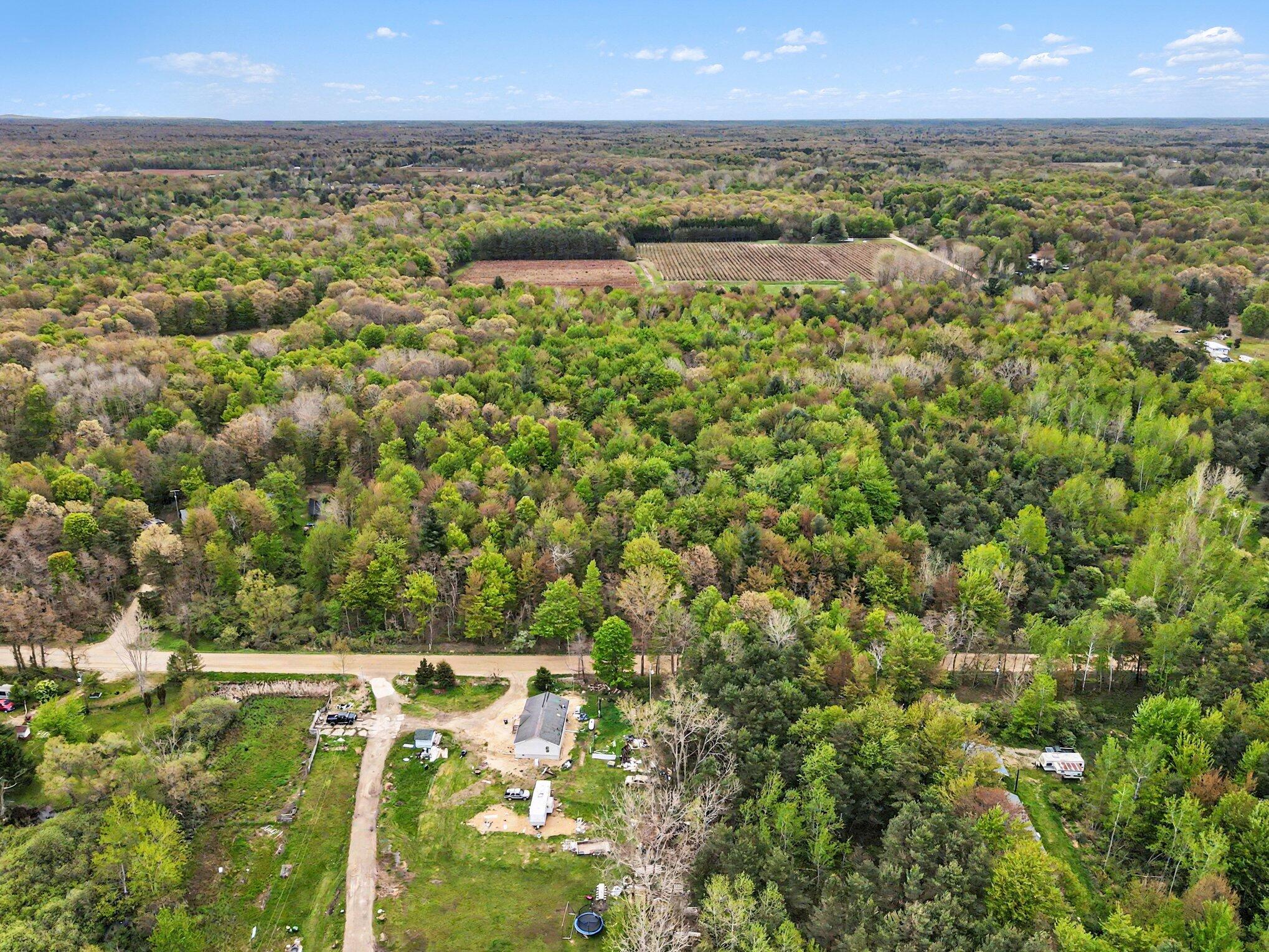 58th Street Grand Junction, MI 49056 - Photo 7 of 15 007_dji_0150_683