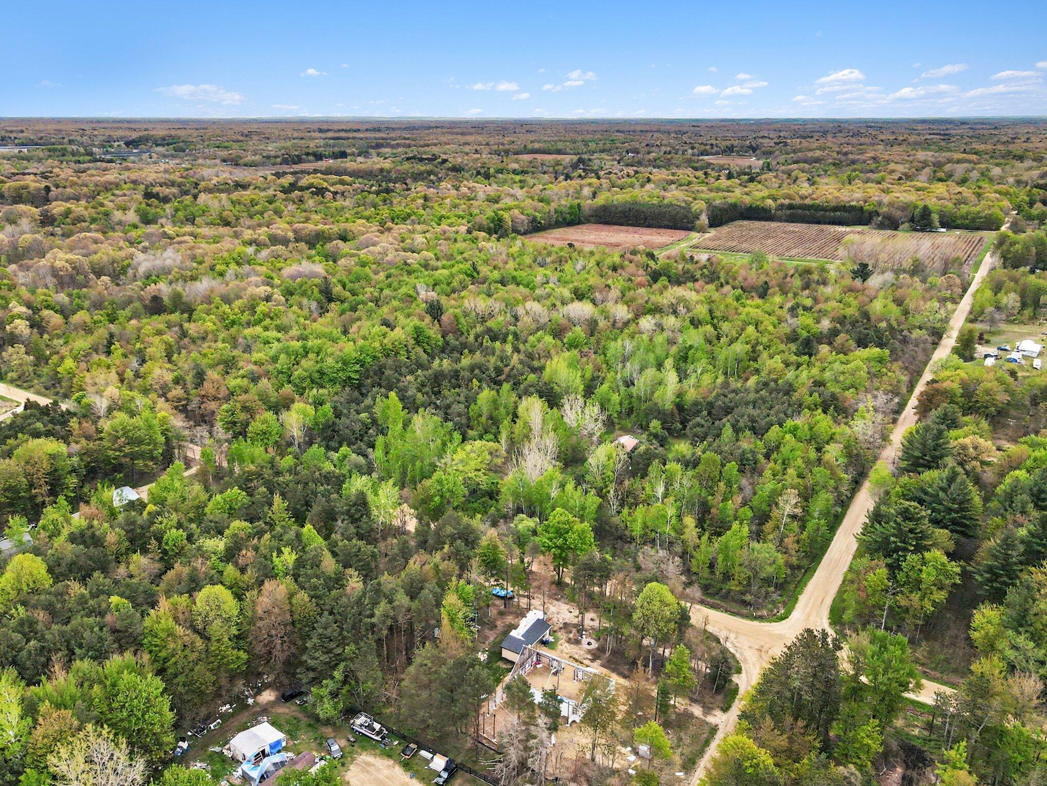 58th Street Grand Junction, MI 49056 - Photo 8 of 15 008_dji_0153_662