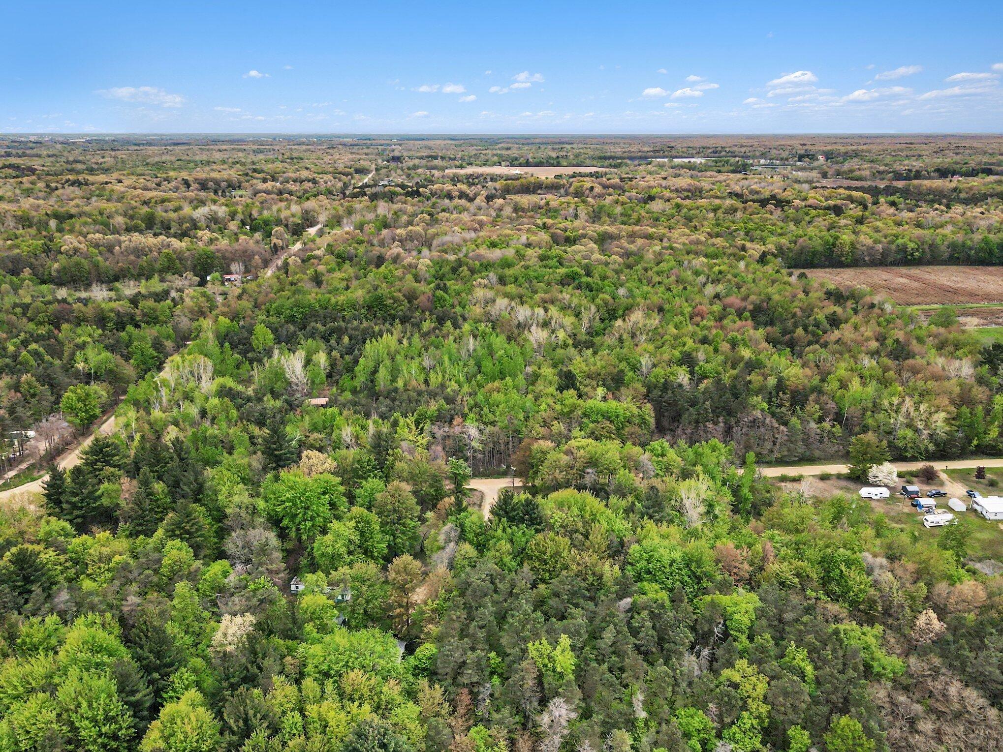 58th Street Grand Junction, MI 49056 - Photo 10 of 15 010_dji_0157_763