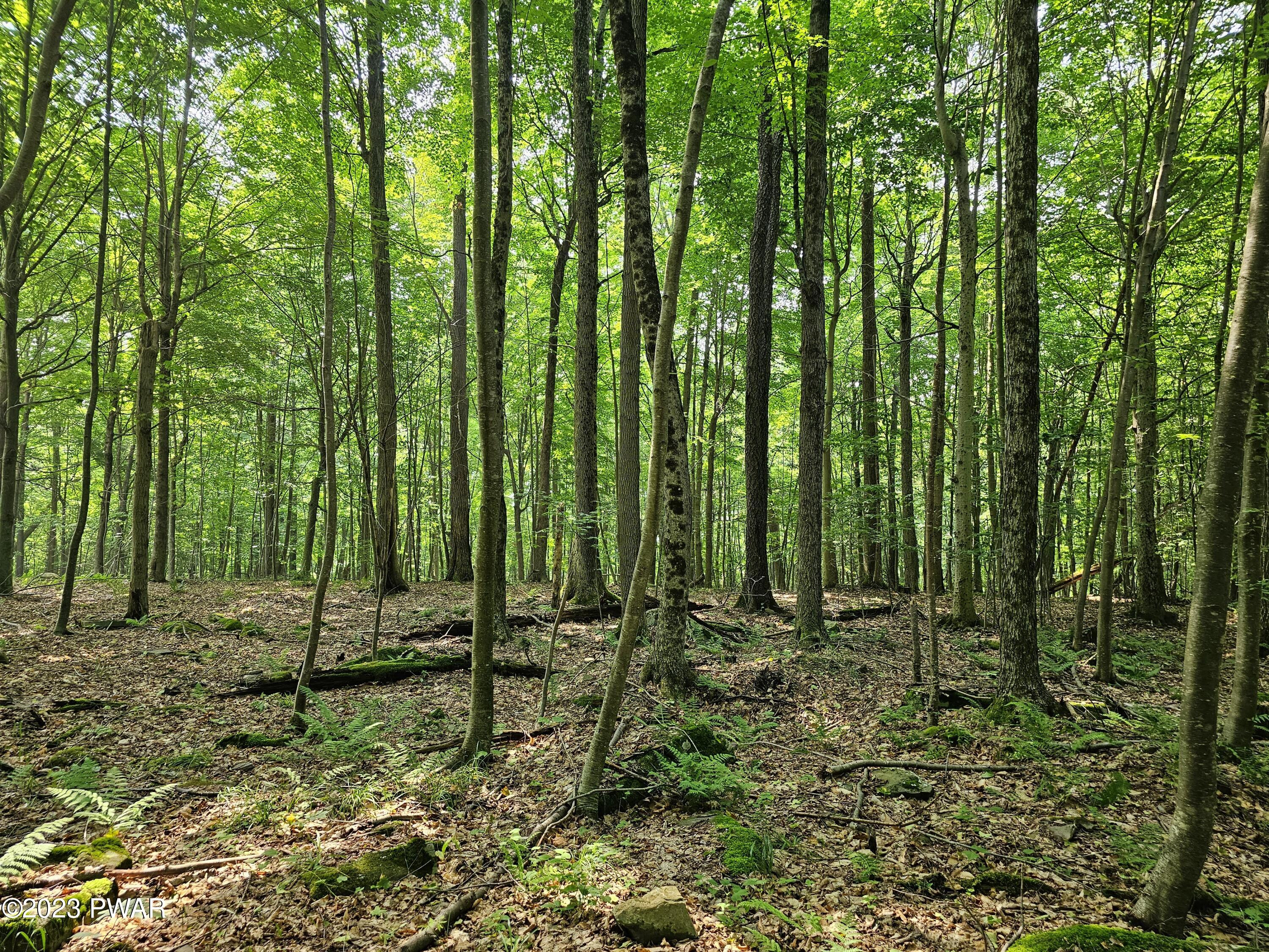 Lot 61 Rock Run Road Damascus, PA 18415 - Photo 2 of 56