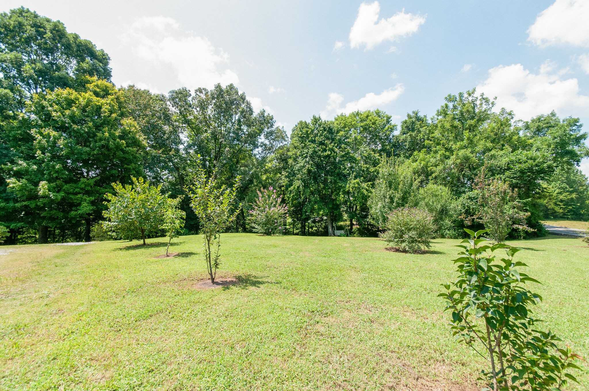 822 Grays Chapel Road Southside, TN 37171 - Photo 24 of 24 Gallery Image 24