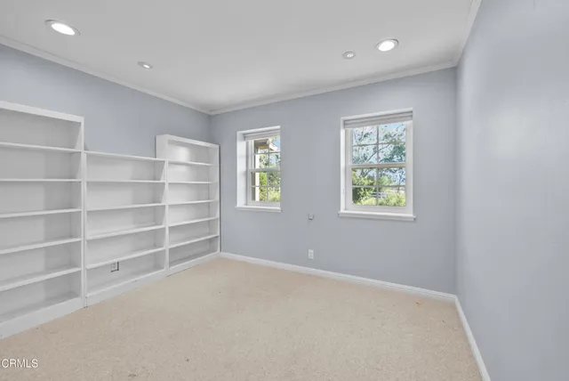 a view of a yard with plants and large trees