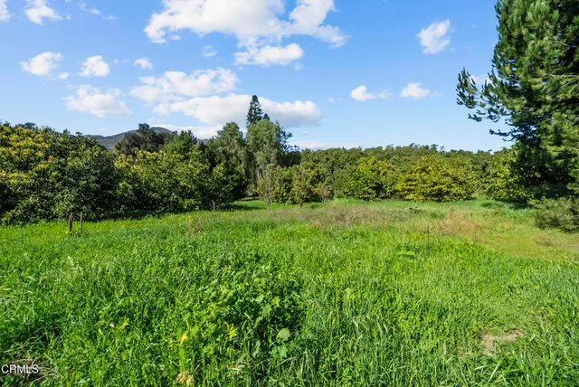 $1,400,000 | 1325 Cliff Avenue, Fillmore, CA 93015