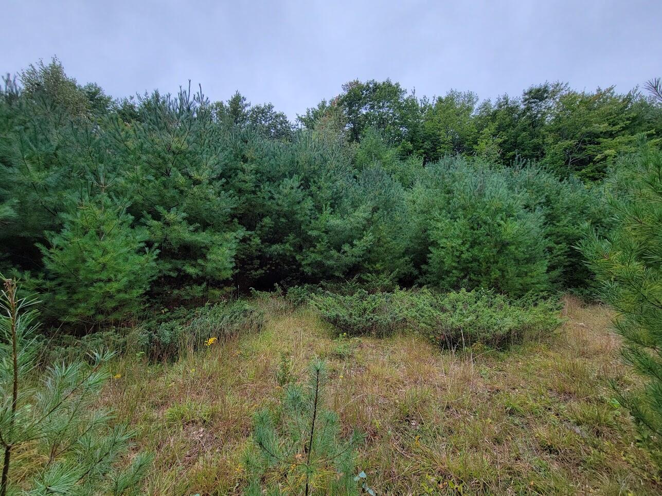 3-l 34-2 Hooper Road Shapleigh, ME 04076 - Photo 14 of 16 20220920_124934