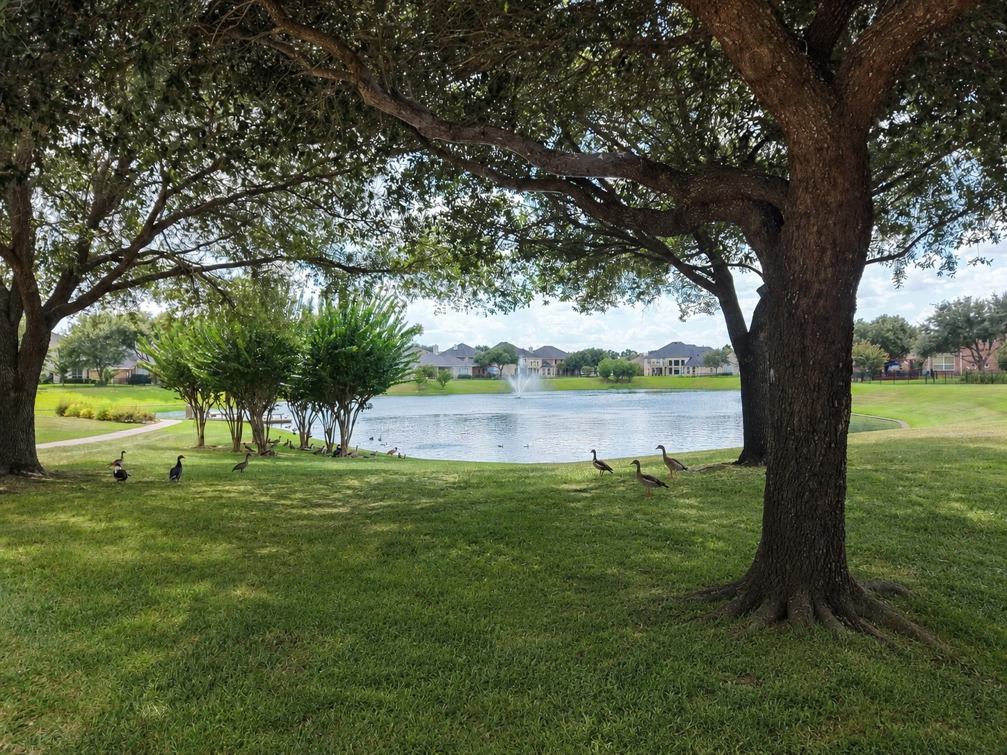 20018 Rene Creek Court Spring, TX 77388 - Photo 24 of 24