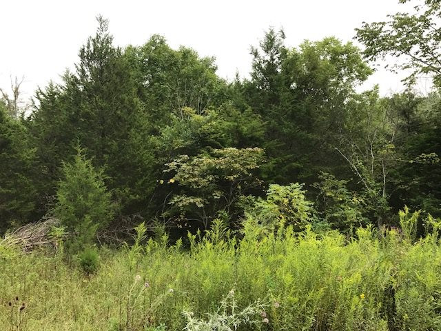 2310 Clarks Cr Road Dry Ridge, KY 41035 - Photo 10 of 22 Gallery Image 10