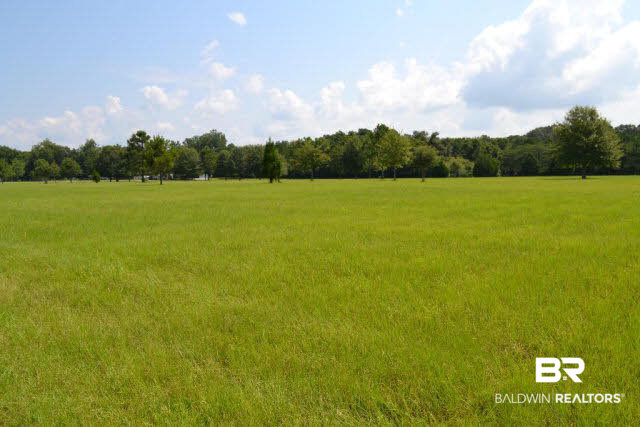 27608 County Road 65 Loxley, AL 36551 - Photo 32 of 32 Facing South CR 65