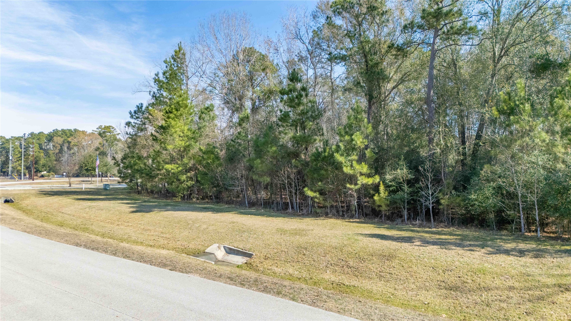 28518 Riverside Crest Lane Huffman, TX 77336 - Photo 6 of 6 a view of a yard with large trees