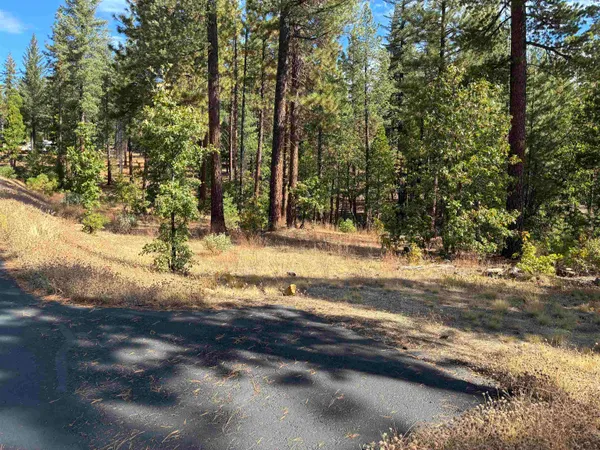 $58,000 | 240 Liberty Lane, Quincy, CA 95971
