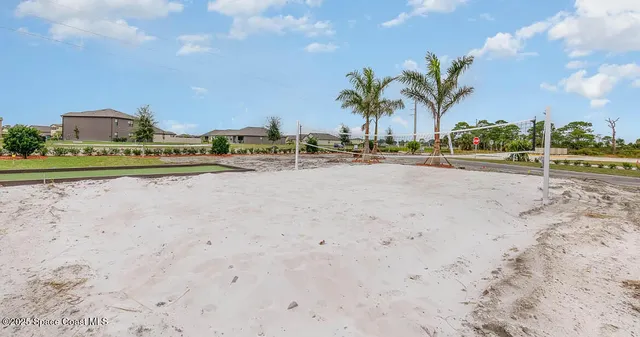 a row of palm trees and swimming pool in the backyard of a house