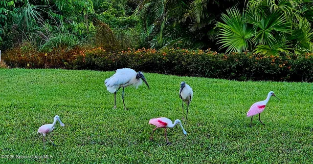 a view of a table and chairs in the garden