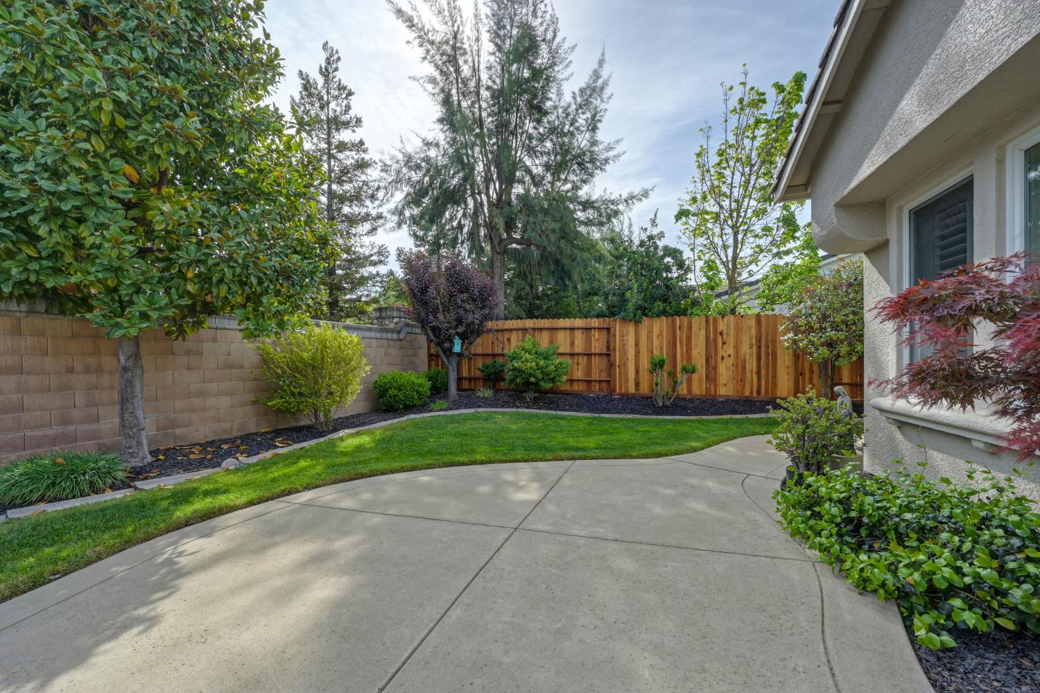 5966 Tanus Circle Rocklin, CA 95677 - Photo 33 of 38 a view of backyard with garden and trees