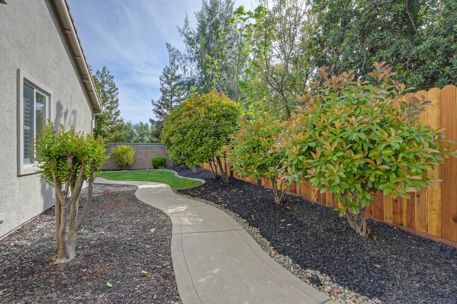 5966 Tanus Circle Rocklin, CA 95677 - Photo 35 of 38 a view of a yard with plants and trees