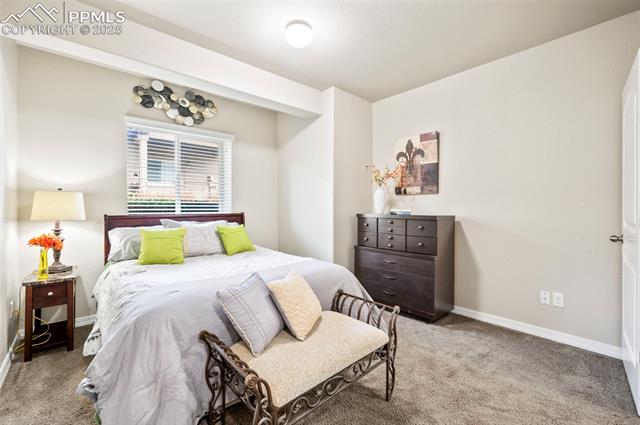 7692 Wichita Ridge Point Colorado Springs, CO 80923 - Photo 18 of 29 Downstairs