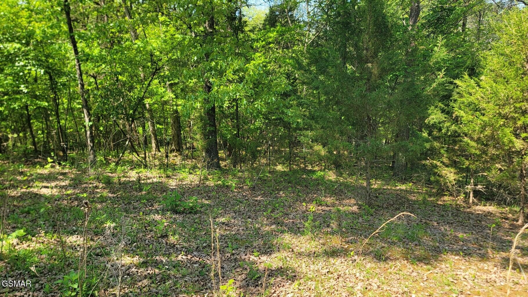 263 West Price Road Dandridge, TN 37725 - Photo 30 of 33 Gallery Image 30