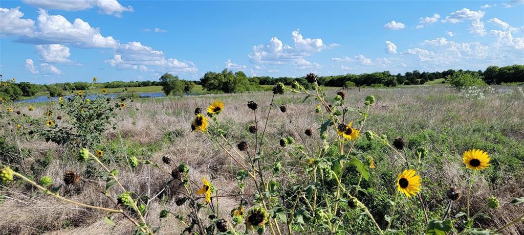 0 Co Road Kaufman, TX 75142 - Photo 12 of 18 a view of a lake