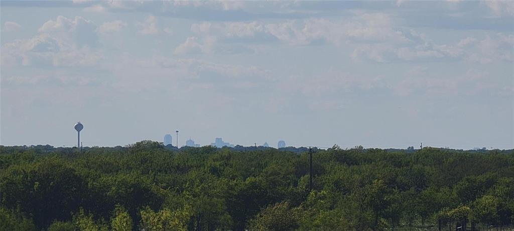 0 Co Road Kaufman, TX 75142 - Photo 13 of 18 a view of a bunch of trees in a field