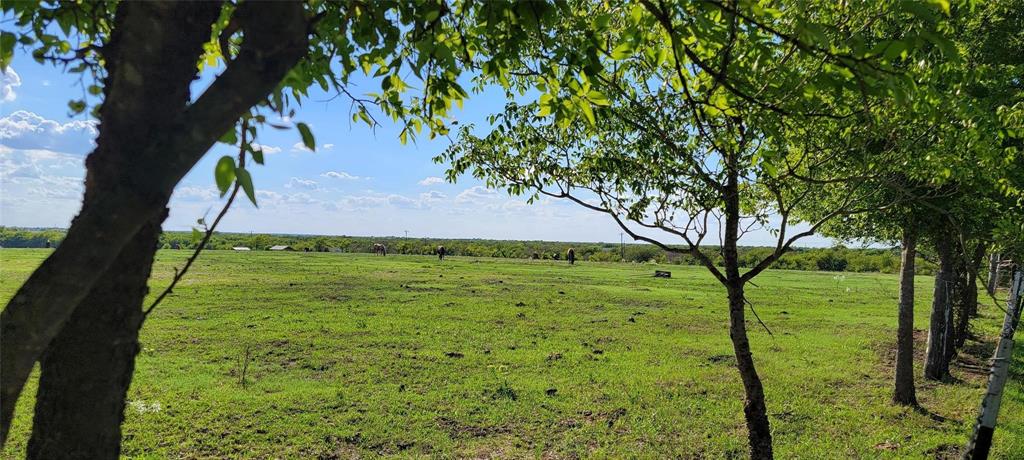 0 Co Road Kaufman, TX 75142 - Photo 15 of 18 a view of an outdoor space