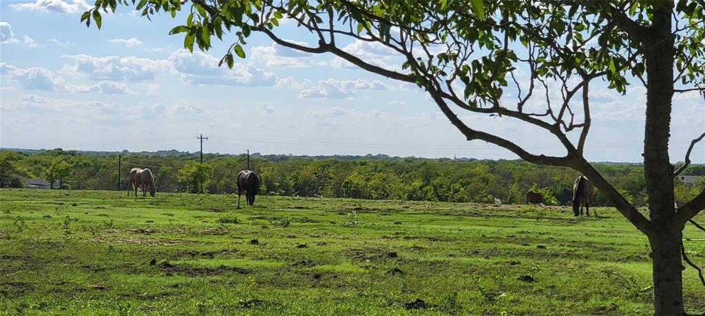0 Co Road Kaufman, TX 75142 - Photo 16 of 18 a big yard with lots of green space