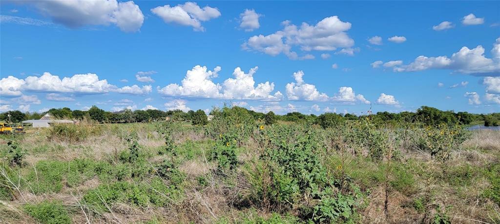 0 Co Road Kaufman, TX 75142 - Photo 4 of 18