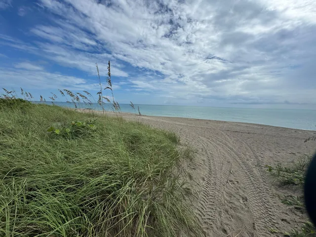 a view of a dry yard with wooden floor