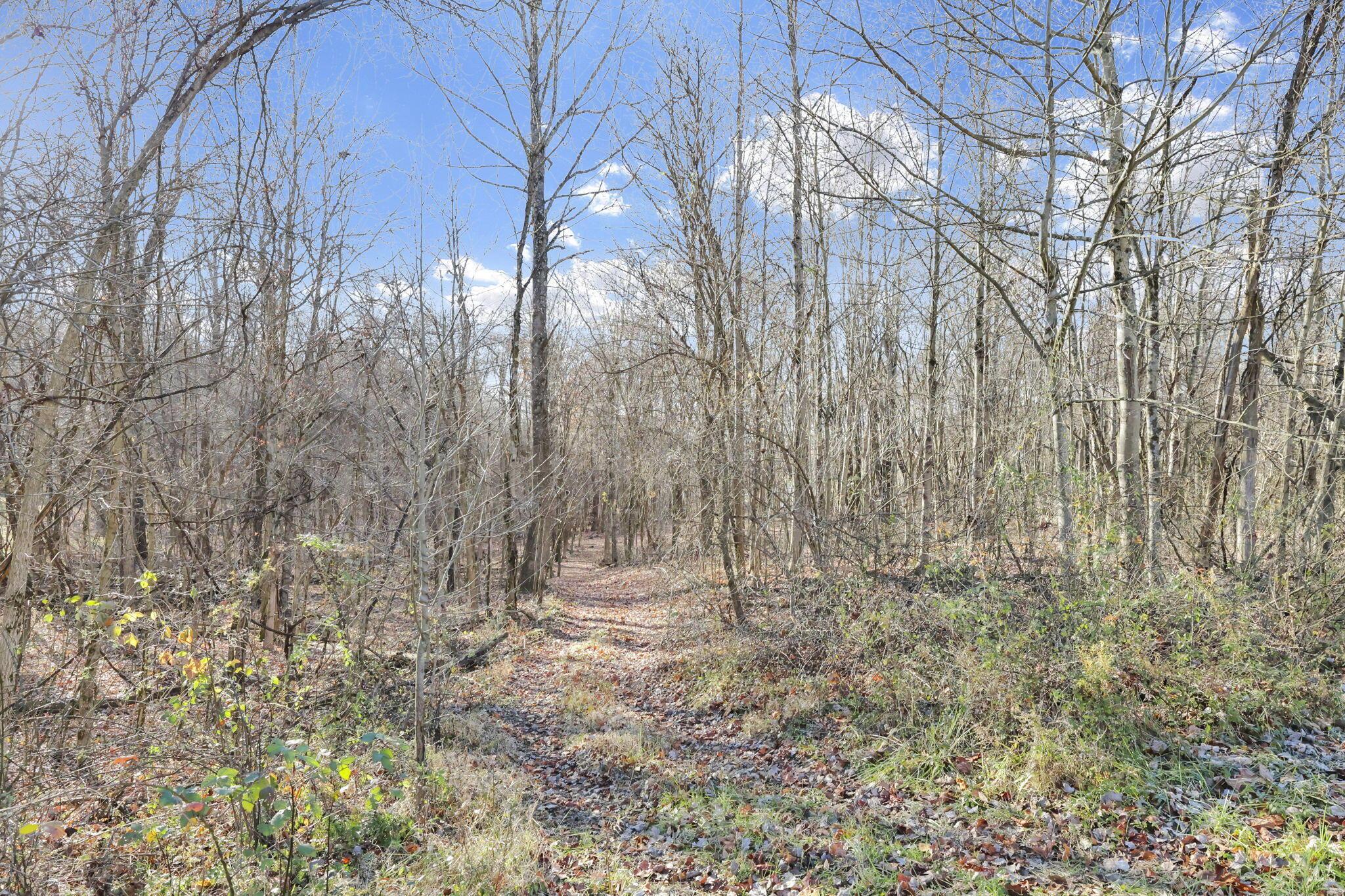 0 Mulberry Road Southeast Mount Perry, OH 43760 - Photo 6 of 9 32-web-or-mls-011A9856