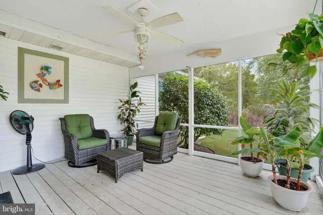 a view of a garden with a bench