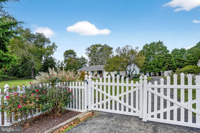 a view of a garden with lawn chairs