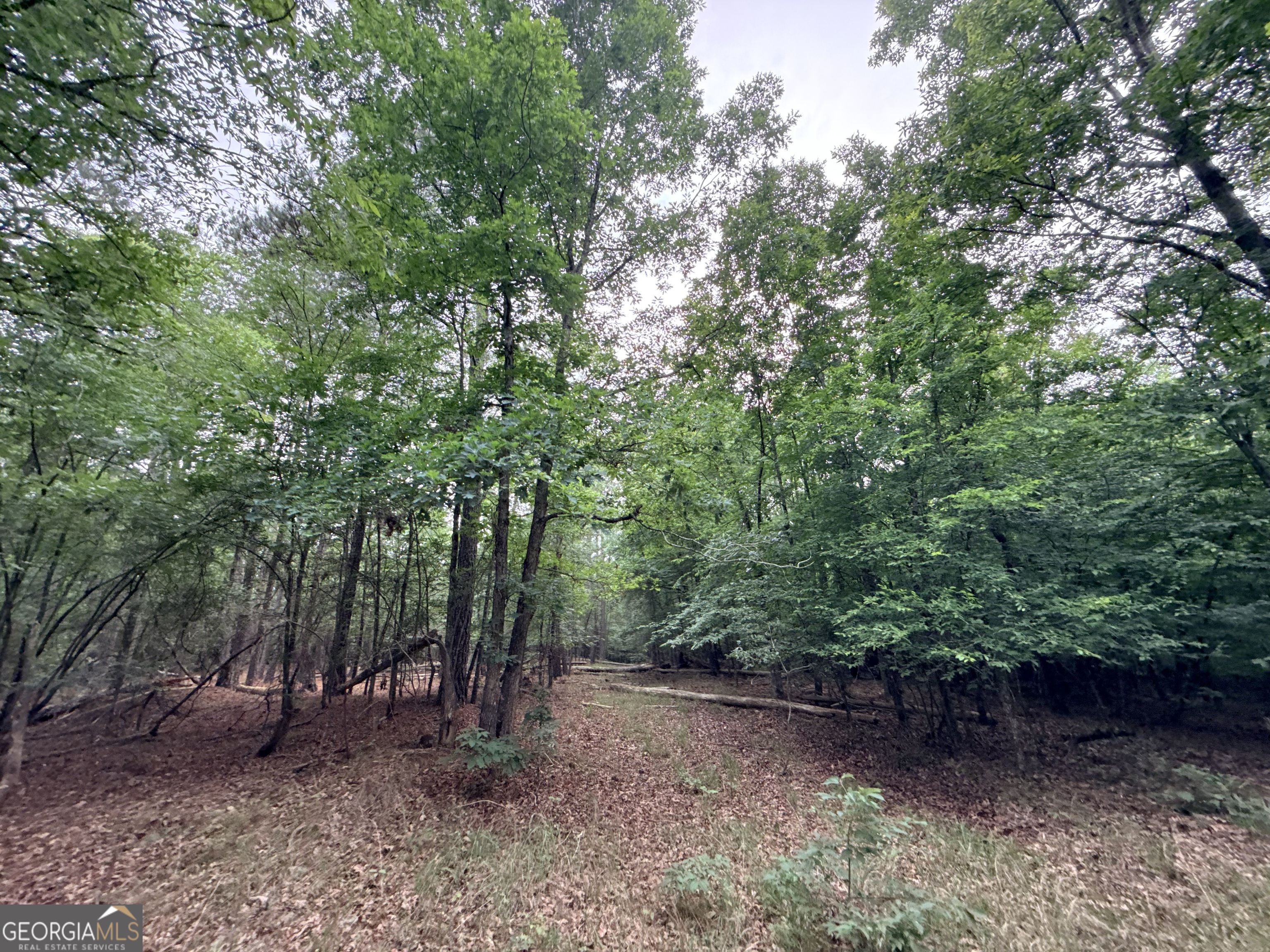 2 Bethesda Church Road Lexington, GA 30648 - Photo 19 of 66