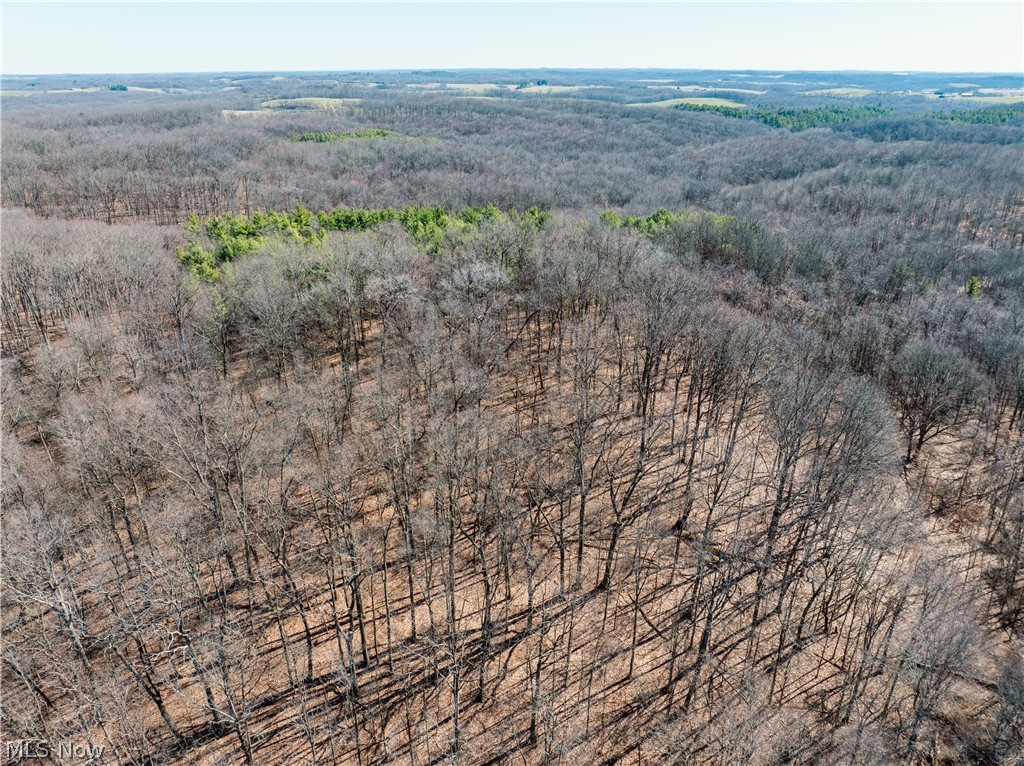 Burrier Road Jewett, OH 43986 - Photo 3 of 7