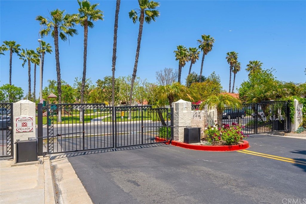 a view of a park with a palm tree