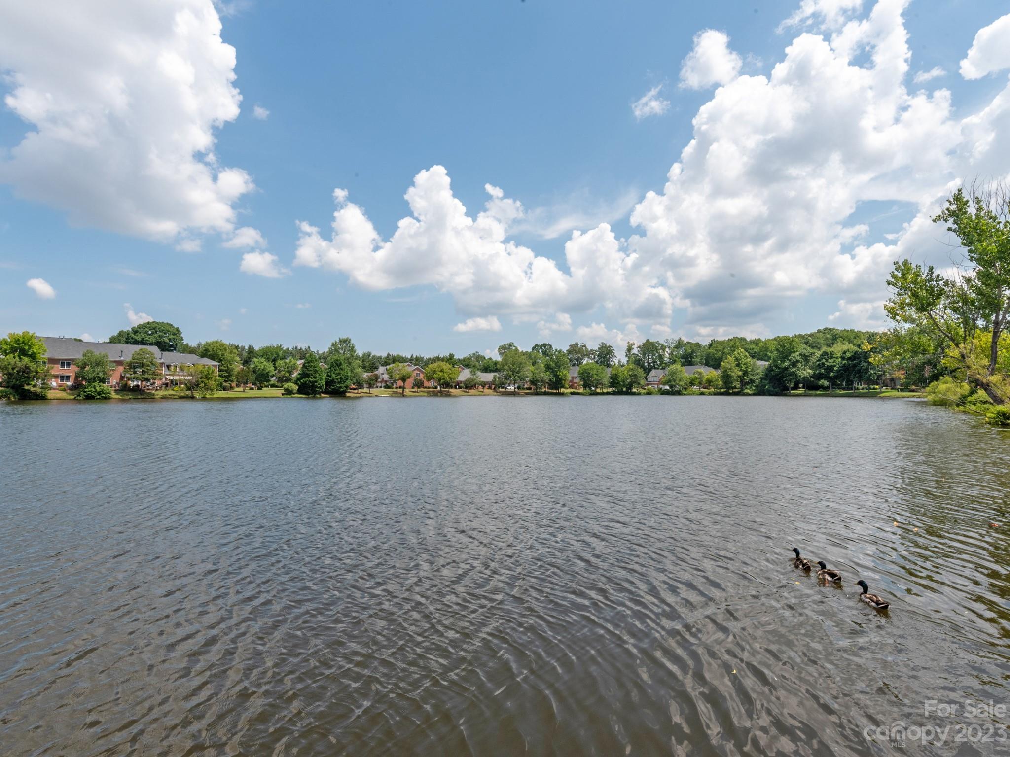 684 Beacon Knoll Lane Fort Mill, SC 29708 - Photo 46 of 46 a view of a lake