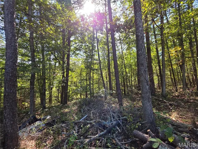 $274,900 | 17511 Adair Lane, Houston, MO 65483