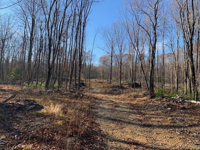 175 Brooks Road Barrington, NH 03825 - Photo 1 of 3
