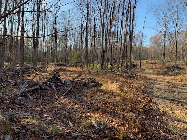 175 Brooks Road Barrington, NH 03825 - Photo 2 of 3