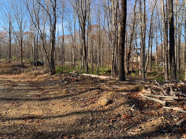 175 Brooks Road Barrington, NH 03825 - Photo 3 of 3