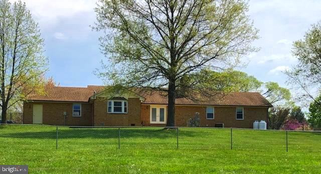 181 Grove Farm Road Front Royal, VA 22630 - Photo 11 of 35 a view of a yard in front of a house with large trees