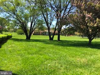 181 Grove Farm Road Front Royal, VA 22630 - Photo 8 of 35 a view of grassy field with benches