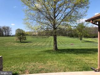 181 Grove Farm Road Front Royal, VA 22630 - Photo 10 of 35 a view of a park