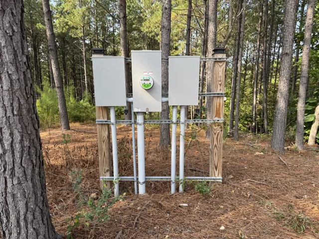 a view of a wooden house with a yard and trees