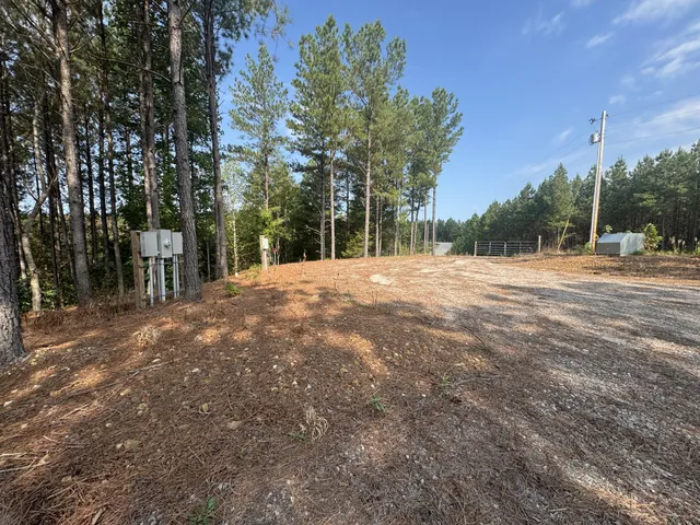 a backyard of a house with lots of green space and a fountain