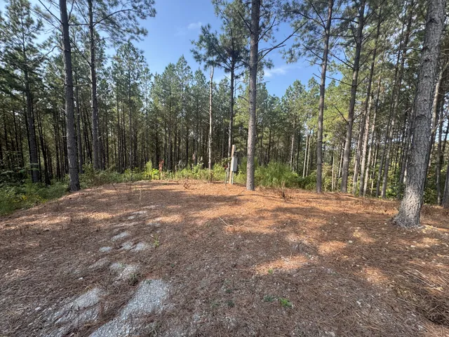 a view of outdoor space with trees