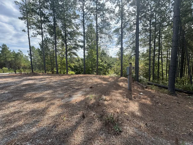 a view of outdoor space with trees