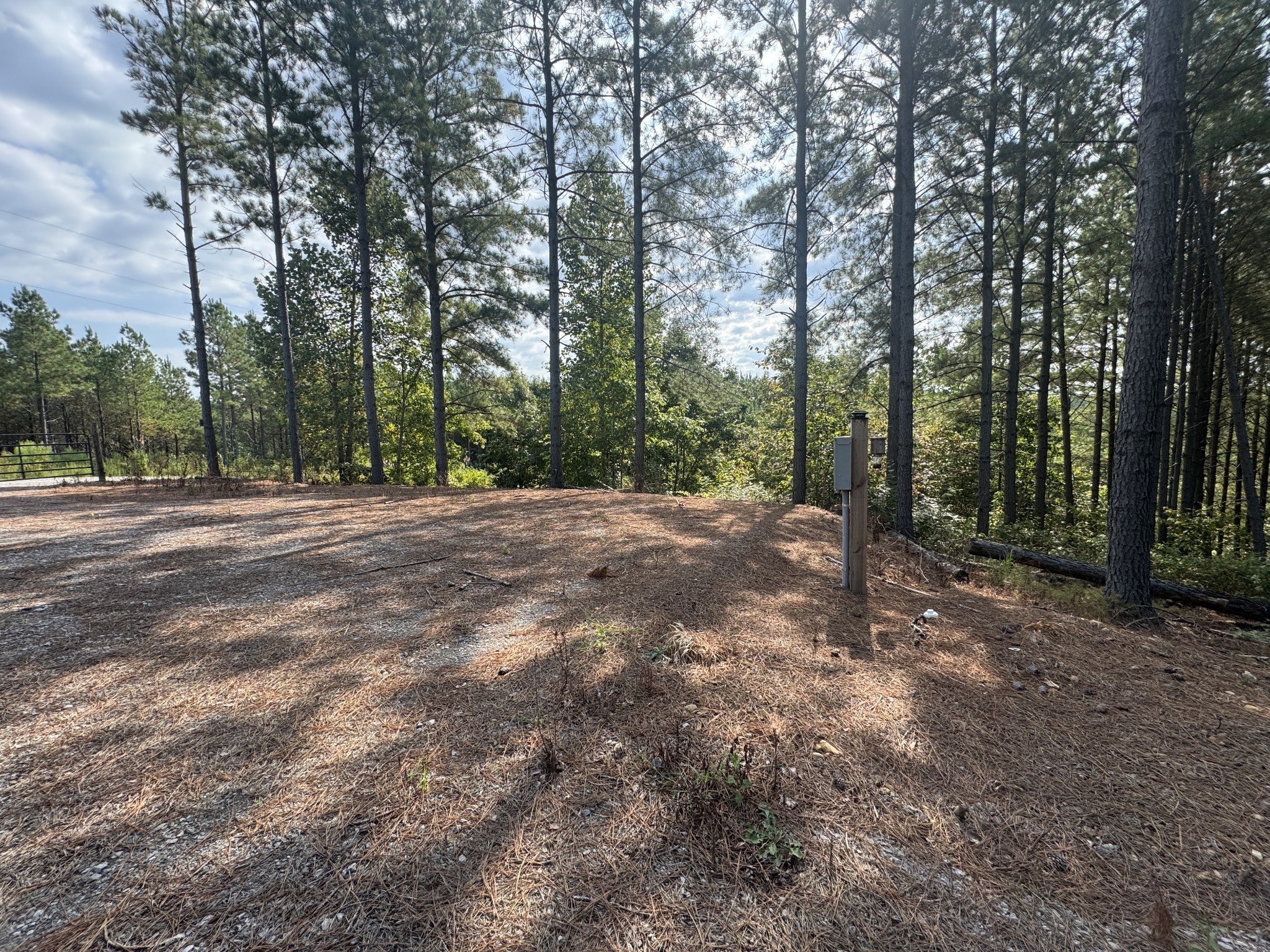 301 Ridgewood Drive Linden, TN 37096 - Photo 17 of 29 a view of outdoor space with trees