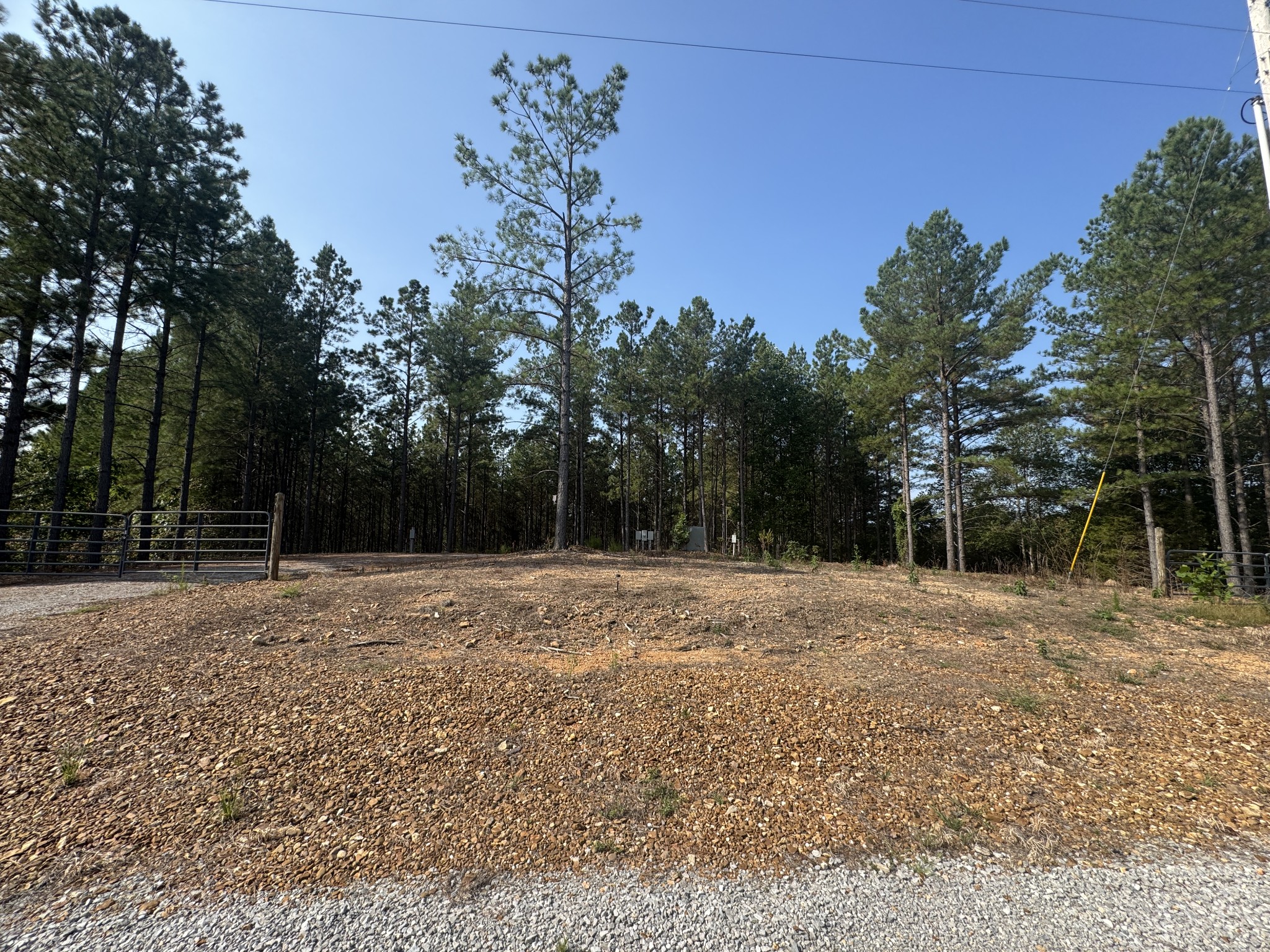 301 Ridgewood Drive Linden, TN 37096 - Photo 2 of 29 a backyard of a house with lots of green space