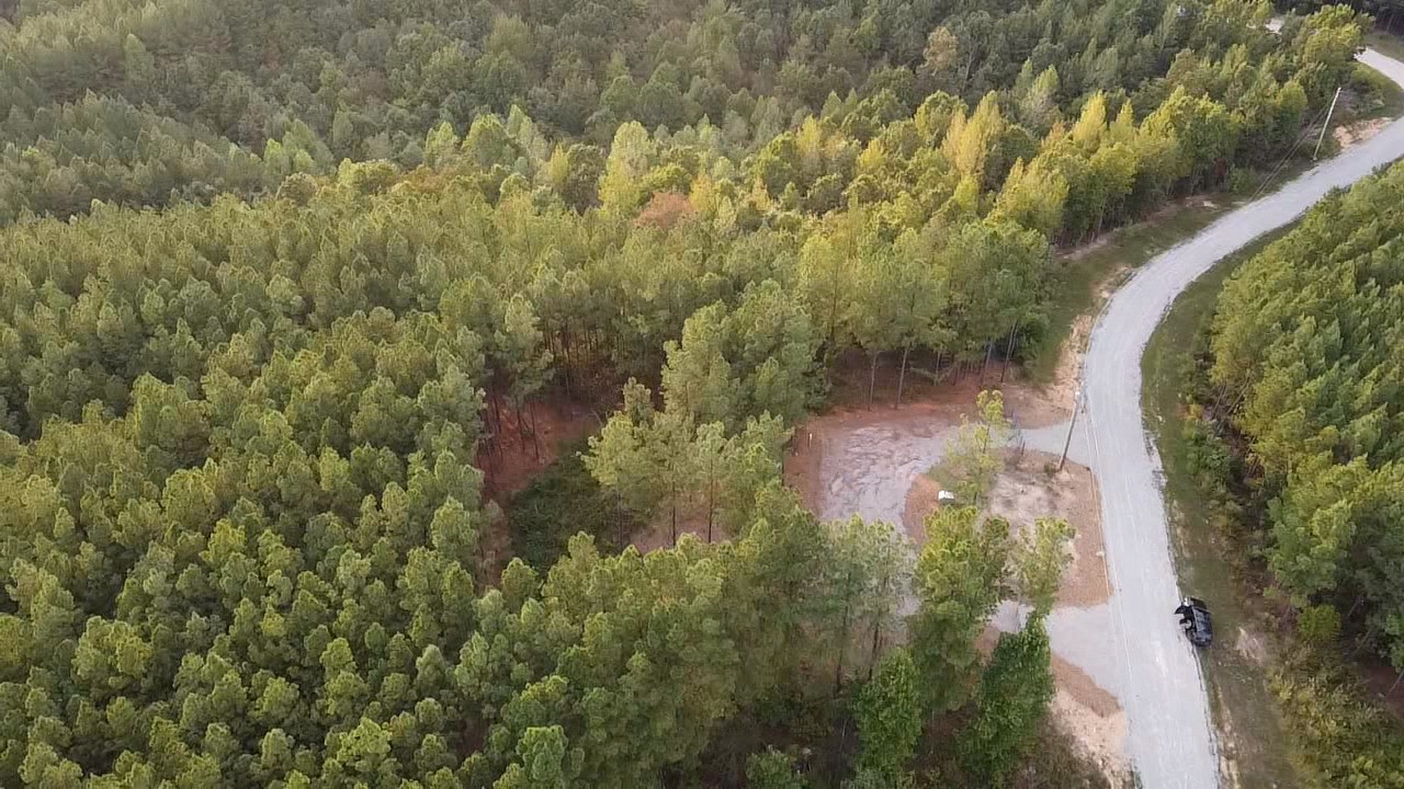 301 Ridgewood Drive Linden, TN 37096 - Photo 21 of 29 an aerial view of a house with a yard and large trees