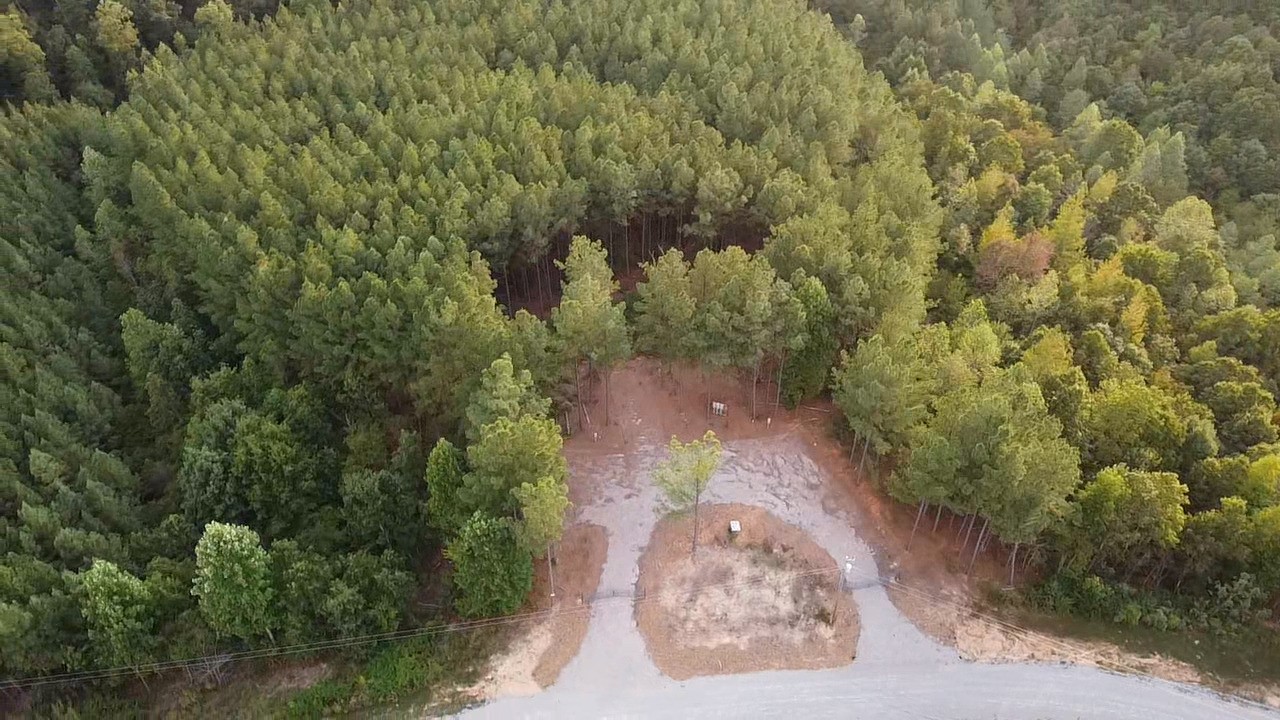 301 Ridgewood Drive Linden, TN 37096 - Photo 23 of 29 a view of a forest with a tree